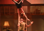Künstler der Show Seasons