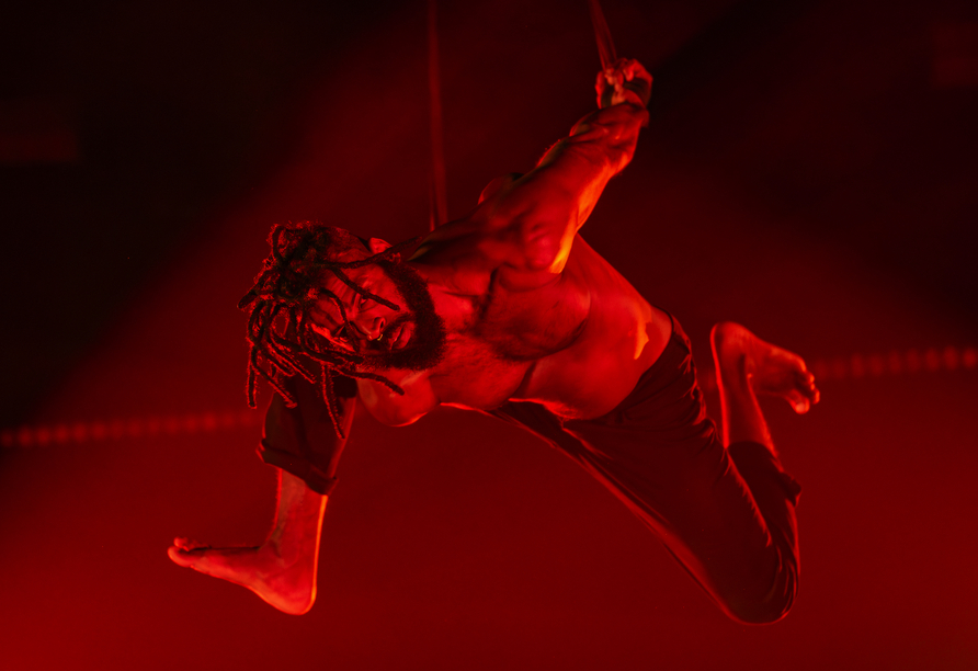 Künstler der Show impulse