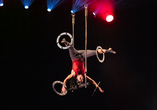 Künstler der Show Alive