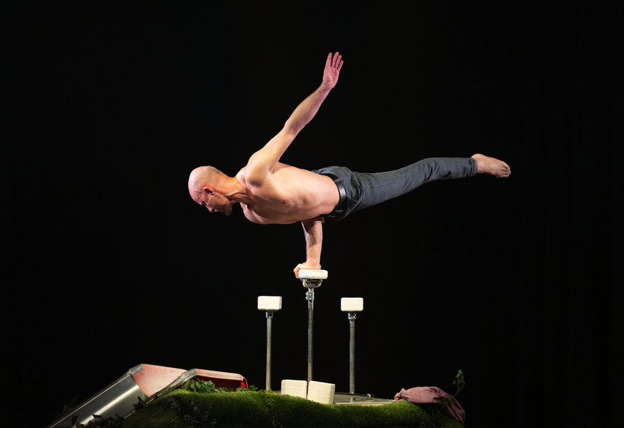 Künstler der Show Alive