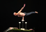 Künstler der Show Alive