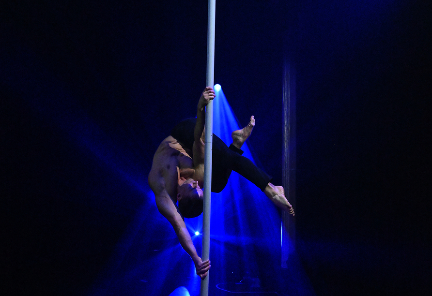 Artisten der Show Deluxe