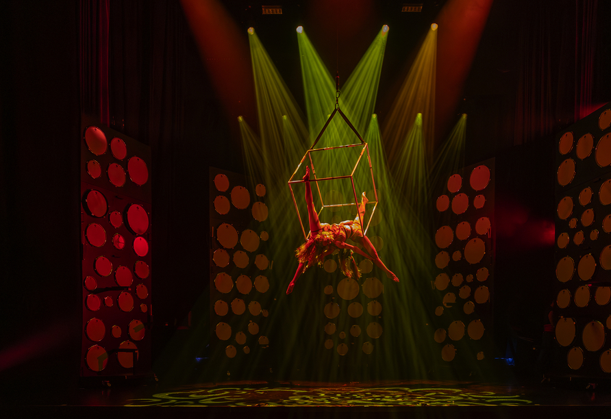 Artisten der Show Impulse