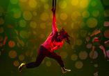 Artisten der Show Impulse