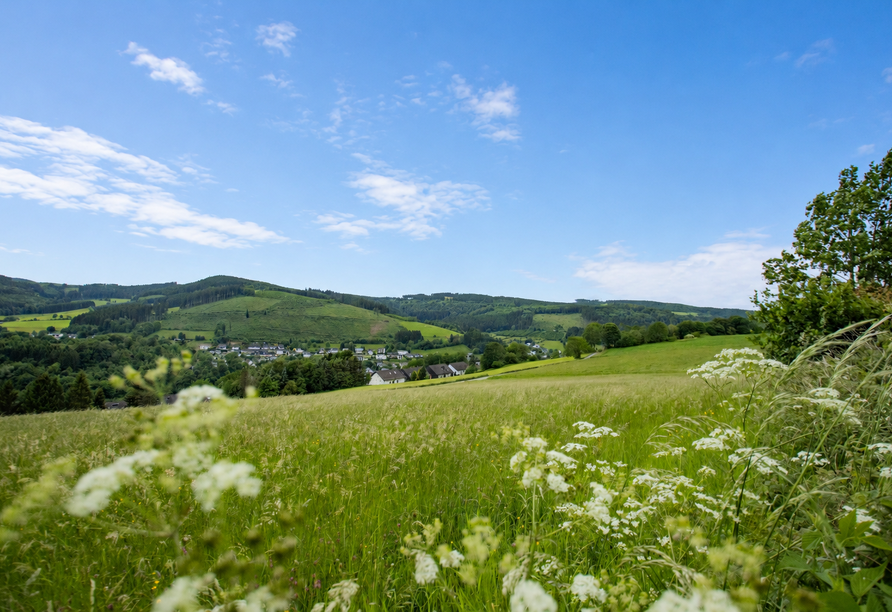 Ein herrlicher Panoramablick bietet sich Ihnen vom Panorama Hotel Winterberg aus.