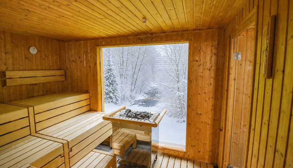 Die Sauna im Panorama Hotel Winterberg mit Blick ins Grüne