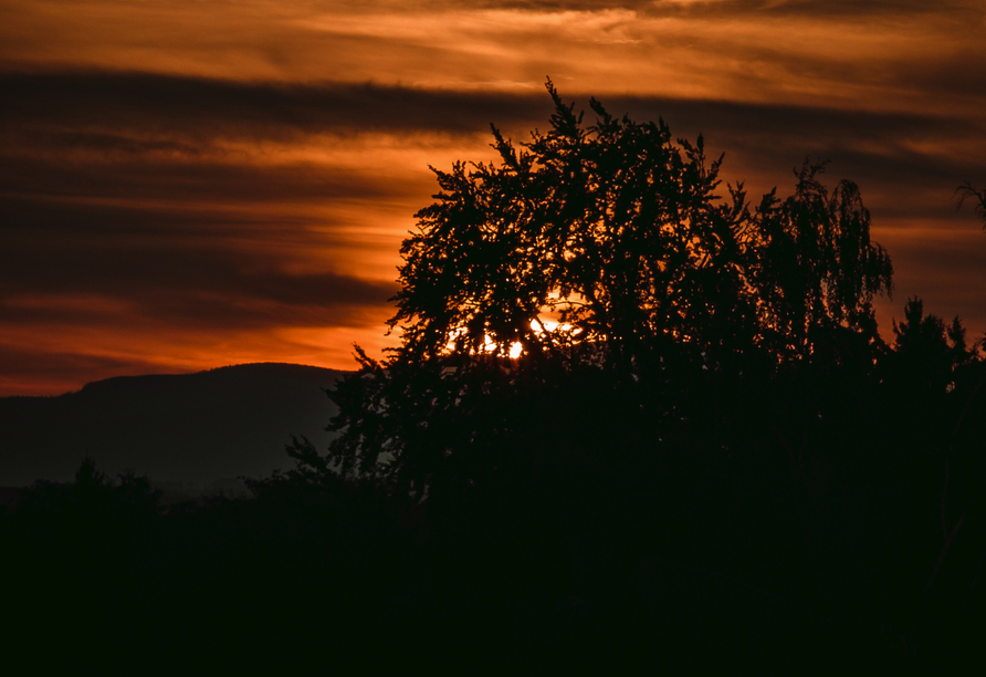 Ihr Ausblick von der Terrasse.