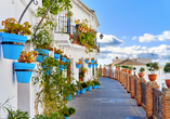 Erleben Sie zahlreiche wunderbare Eindrücke in Mijas.