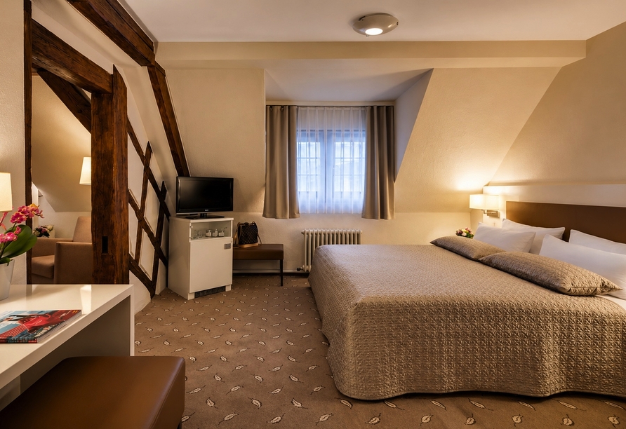 Beispiel für ein Standardzimmer Landseite 