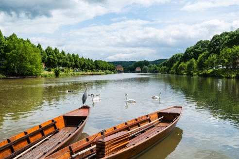 Der Neckar begeistert mit seiner malerischen Flusslandschaft.