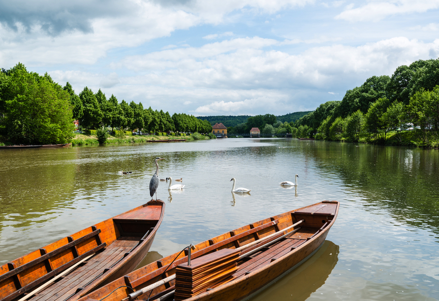 Der Neckar begeistert mit seiner malerischen Flusslandschaft.