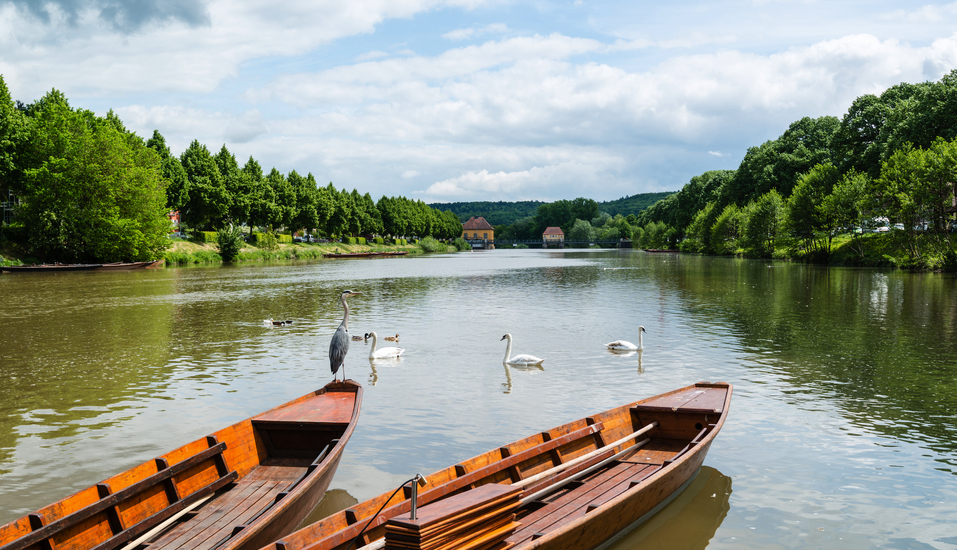 Der Neckar begeistert mit seiner malerischen Flusslandschaft.