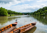 Der Neckar begeistert mit seiner malerischen Flusslandschaft.