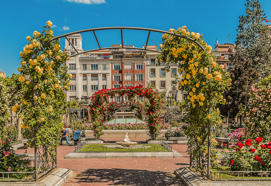 Die historische Rosenanlage im Paseo del Espolón, dem Stadtpark im Herzen Logroños, beherbergt zahlreiche Rosensorten, darunter auch international ausgezeichnete Züchtungen.
