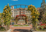 Die historische Rosenanlage im Paseo del Espolón, dem Stadtpark im Herzen Logroños, beherbergt zahlreiche Rosensorten, darunter auch international ausgezeichnete Züchtungen.