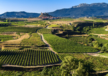 Die Gegend La Rioja ist aufgrund der hohen Weinqualität bekannt.