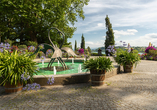 Die Insel Mainau begeistert mit ihrer farbenprächtigen Blütenpracht.