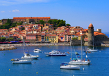 Entdecken Sie das malerische Küstenstädtchen Collioure mit seinem charmanten Hafen.
