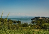 Genießen Sie den herrlichen Blick auf den Bodensee in Litzelstetten.