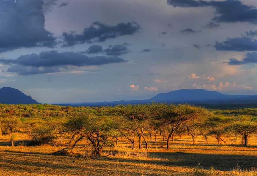Genießen Sie die Weite der beeindruckenden Landschaft des Tsavo West Nationalparks.