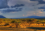 Genießen Sie die Weite der beeindruckenden Landschaft des Tsavo West Nationalparks.