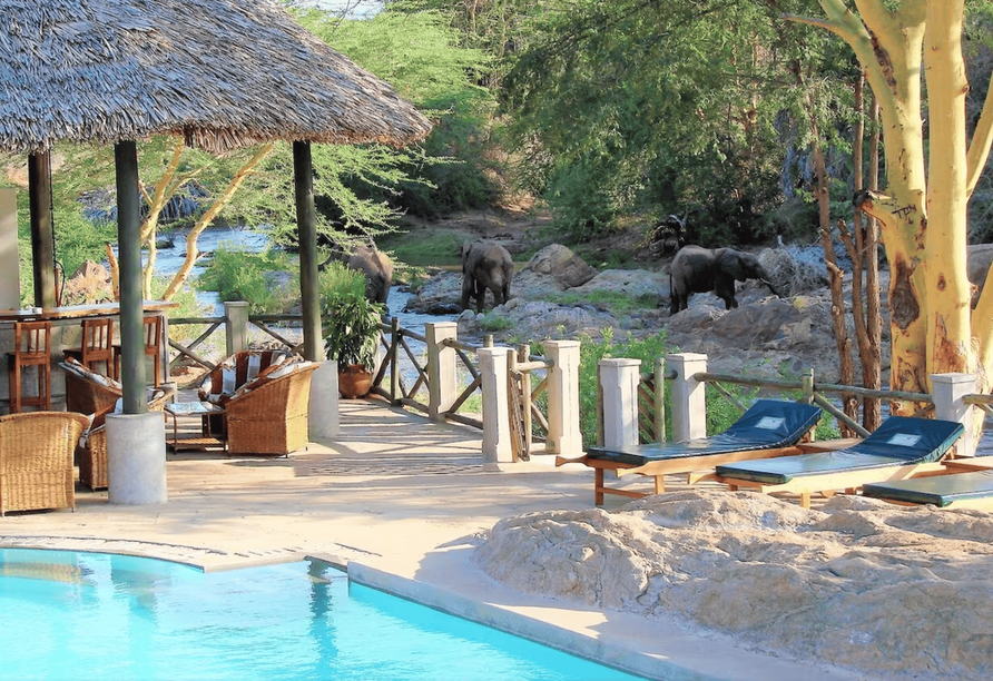 Poolbereich des Beispielhotels Man Eaters Camp inmitten der afrikanischen Natur