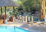 Poolbereich des Beispielhotels Man Eaters Camp inmitten der afrikanischen Natur