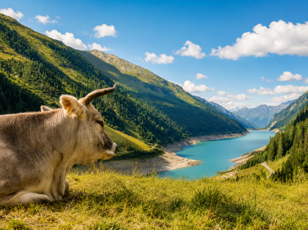 Herzlich willkommen im wunderschönen Kaunertal! | KI generiert