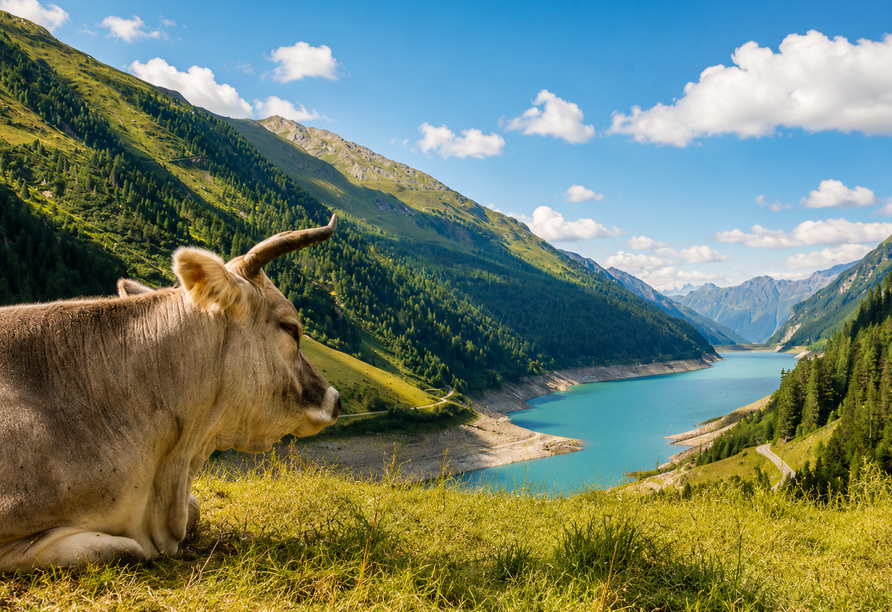 Herzlich willkommen im wunderschönen Kaunertal! | KI generiert