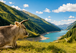 Herzlich willkommen im wunderschönen Kaunertal! | KI generiert