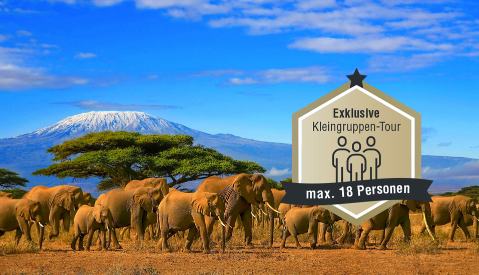 Erleben Sie die beeindruckende Tierwelt Kenias vor der Kulisse des Kilimandscharo.