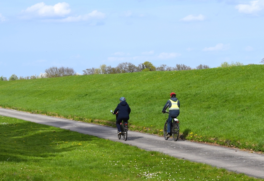 Auf dem Elberadweg können Sie mit dem Fahrrad bequem die Umgebung erkunden.