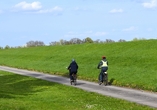 Auf dem Elberadweg können Sie mit dem Fahrrad bequem die Umgebung erkunden.
