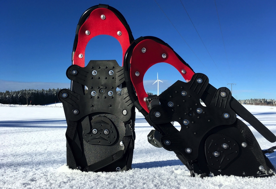 Verschneite Wege laden zu stimmungsvollen Winterwanderungen durch die Natur ein.