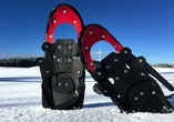 Verschneite Wege laden zu stimmungsvollen Winterwanderungen durch die Natur ein.