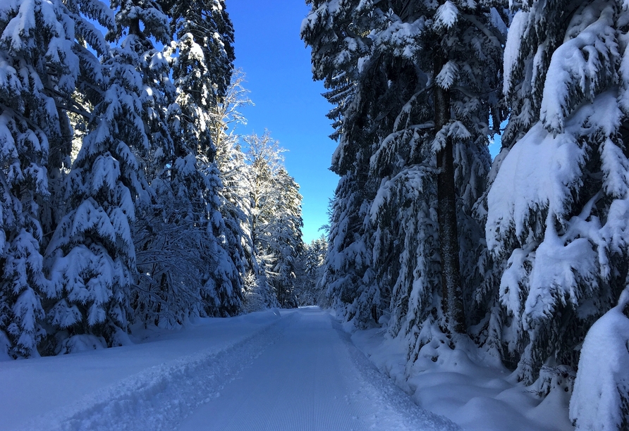 Der winterliche Wald rund um Loßburg begeistert mit verschneiter Landschaft und ruhiger Atmosphäre.