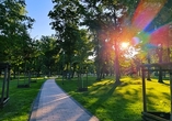 Die Landesgartenschau Wittenberge 2027 verspricht blühende Gärten, inspirierende Ideen und besondere Naturerlebnisse.