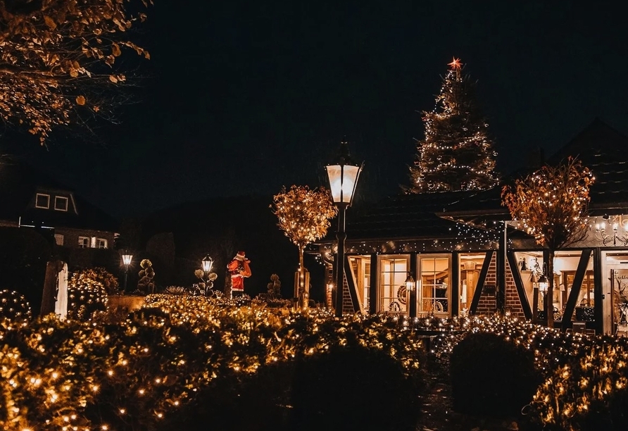 Festlicher Lichterglanz macht den Garten zu einem besonderen Ort in der Winterzeit.
