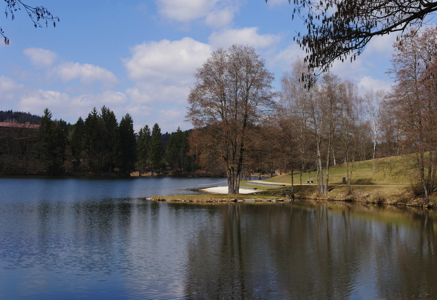 Wie wärs mit einem Winterspaziergang entlang des Dreiburgensees?