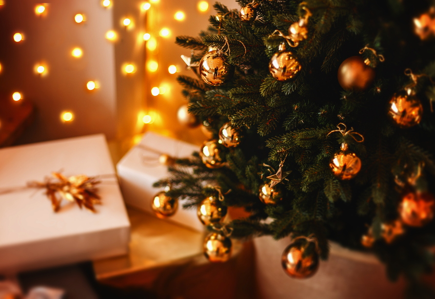 Lassen Sie sich vom festlichen Glanz der Weihnachtszeit verzaubern.