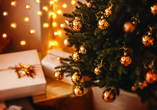 Lassen Sie sich vom festlichen Glanz der Weihnachtszeit verzaubern.