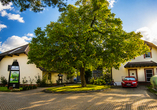 Ihr Hotel: Das Ferien Hotel Spreewald in Kolkwitz!