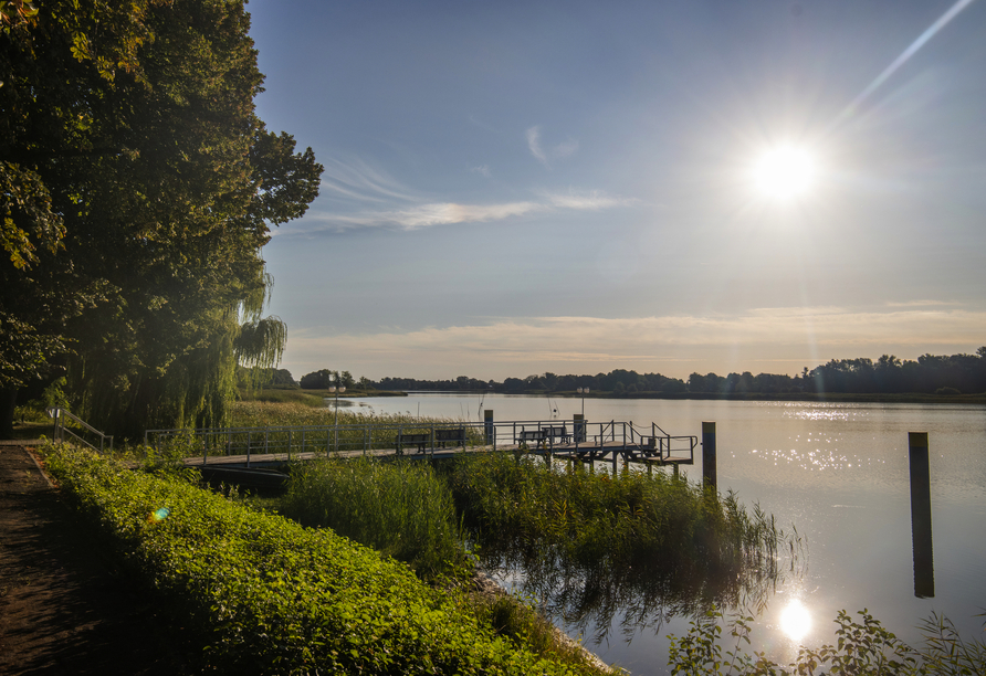 Genießen Sie idyllische Momente am Beetzsee.