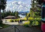 In Ketchikan erleben Sie den besonderen Charakter Südostalaskas.