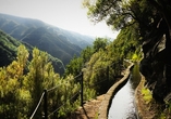 Freuen Sie sich auf eine Wanderung entlang der Levada durch die eindrucksvolle Berglandschaft von Rabaçal.