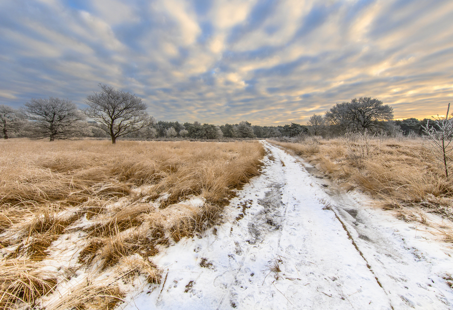Spazieren Sie durch die winterliche Heidelandschaft rund um Assen und genießen Sie die weite Natur.