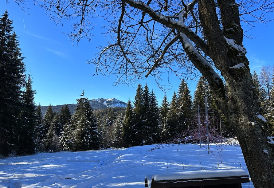 Blick auf den Großen Arber im Winterkleid.
