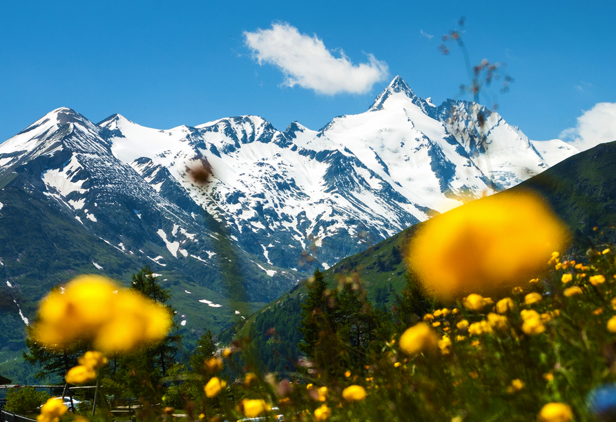 Genießen Sie die Panoramen der umliegenden Bergwelt. 