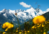 Genießen Sie die Panoramen der umliegenden Bergwelt. 