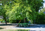 Grüne Wiesen, schattige Bäume und gemütliche Bänke prägen den Stadtpark direkt am Hotel.